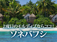 ソネバフシ